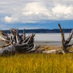 Federal workers can take paid leave to get their kids vaccinated