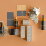 The future road to climate recovery goes through the wild woods